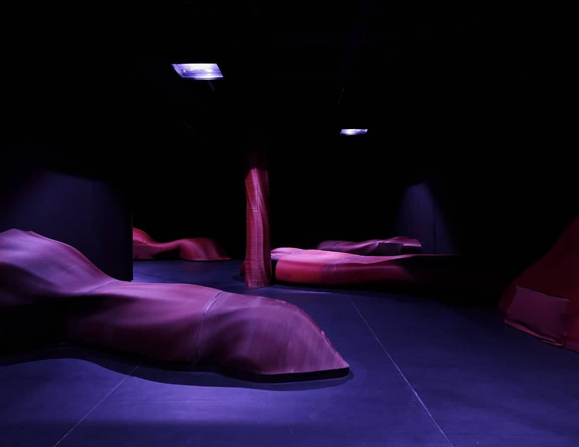 いのちの根っこの写真