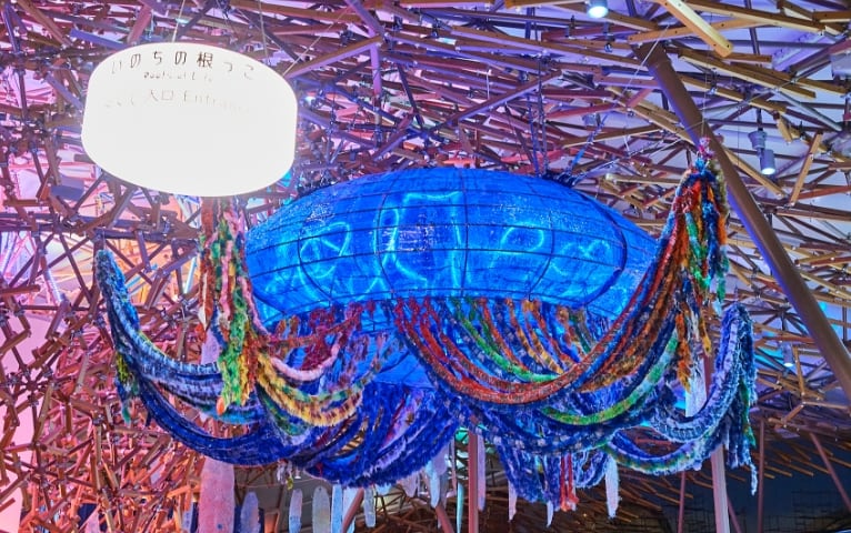 ミドルクラゲ 海月(うみつき)の写真