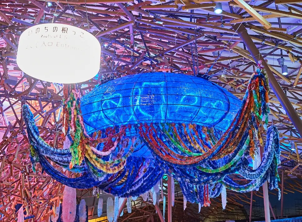 Photo of Middle Jellyfish: Umi-tsuki