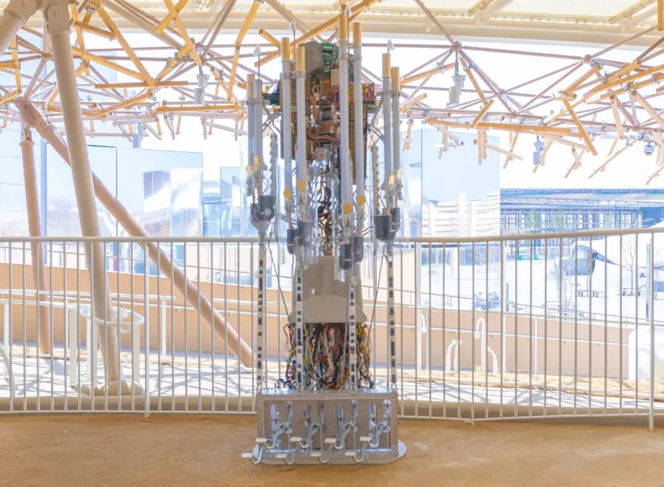 Photo of Revived Organ