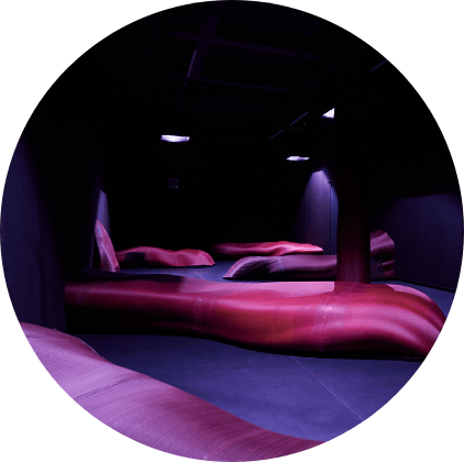 Photo of Basement - The Roots of Life