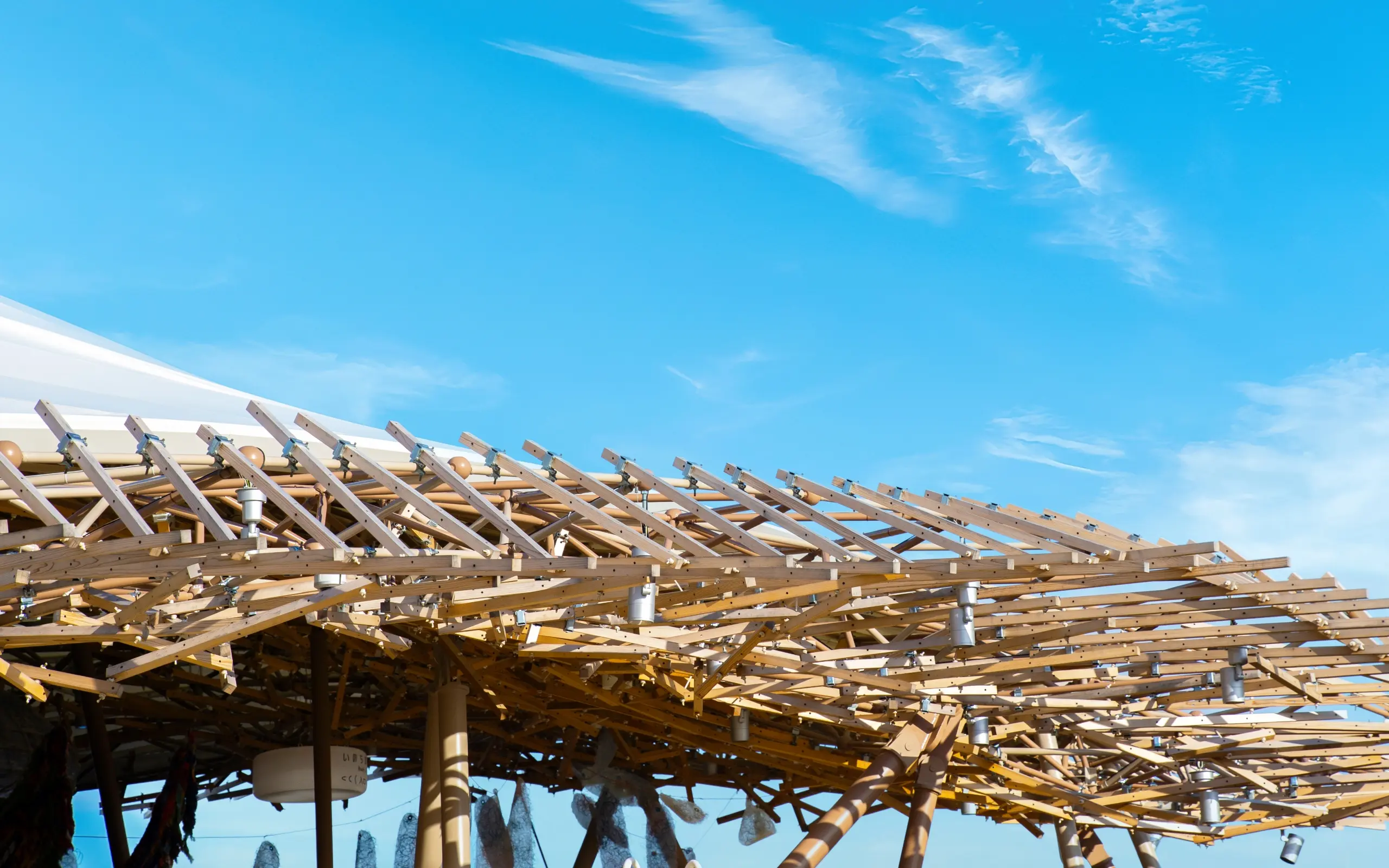 Expo 2025 Osaka, Kansai, Japan Thematic Project: Invigorating Lives! Image2