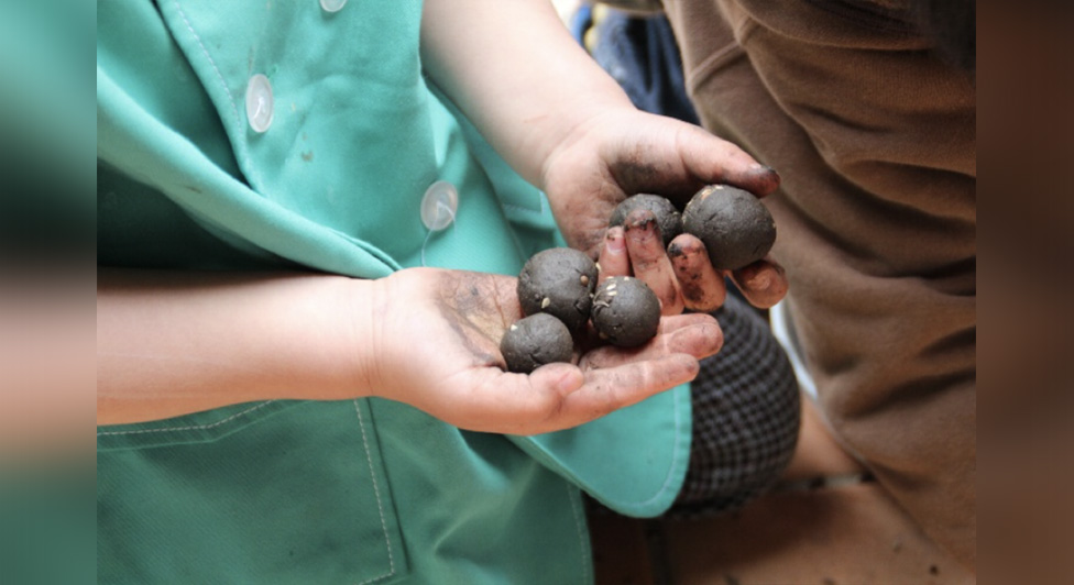 TANEDANGO Workshop (KOBORI Architects Ltd.+The Japan Home Gardening Association