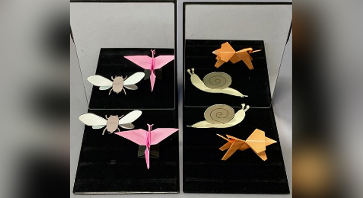 Learn the Illusion Principles, and Challenge to Design Your Original Illusion Objects (Dr. ATSUYOSHI Sugihara, Institute for Advanced Mathematical Sciences, Meiji University)