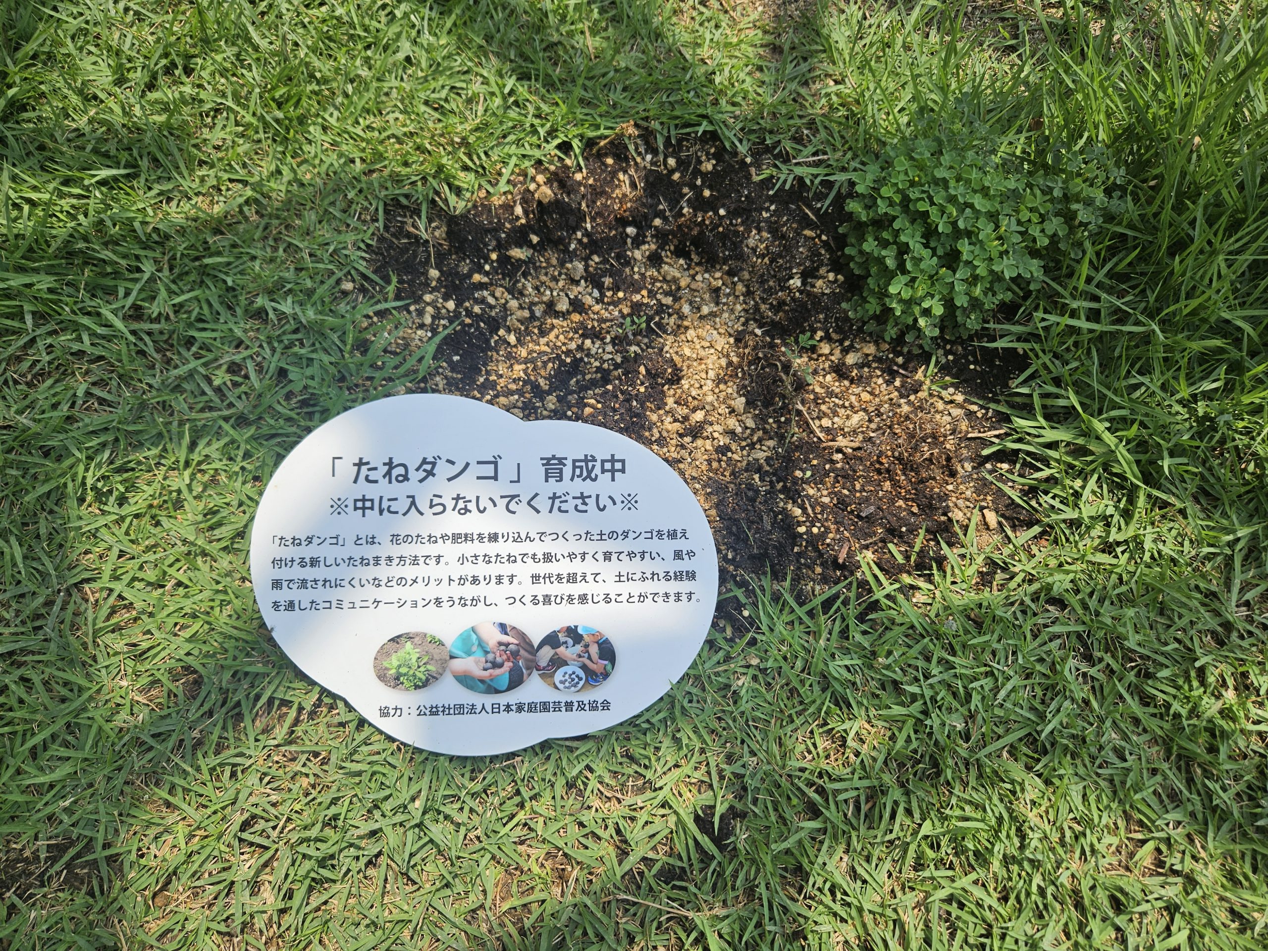 7/1 「たねダンゴ」のワークショップが開催されました。